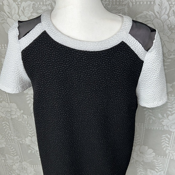 Kensie Colorblock Shift Short Sleeve Retro Skater Textured Dot Sheath Dress - Picture 4 of 10